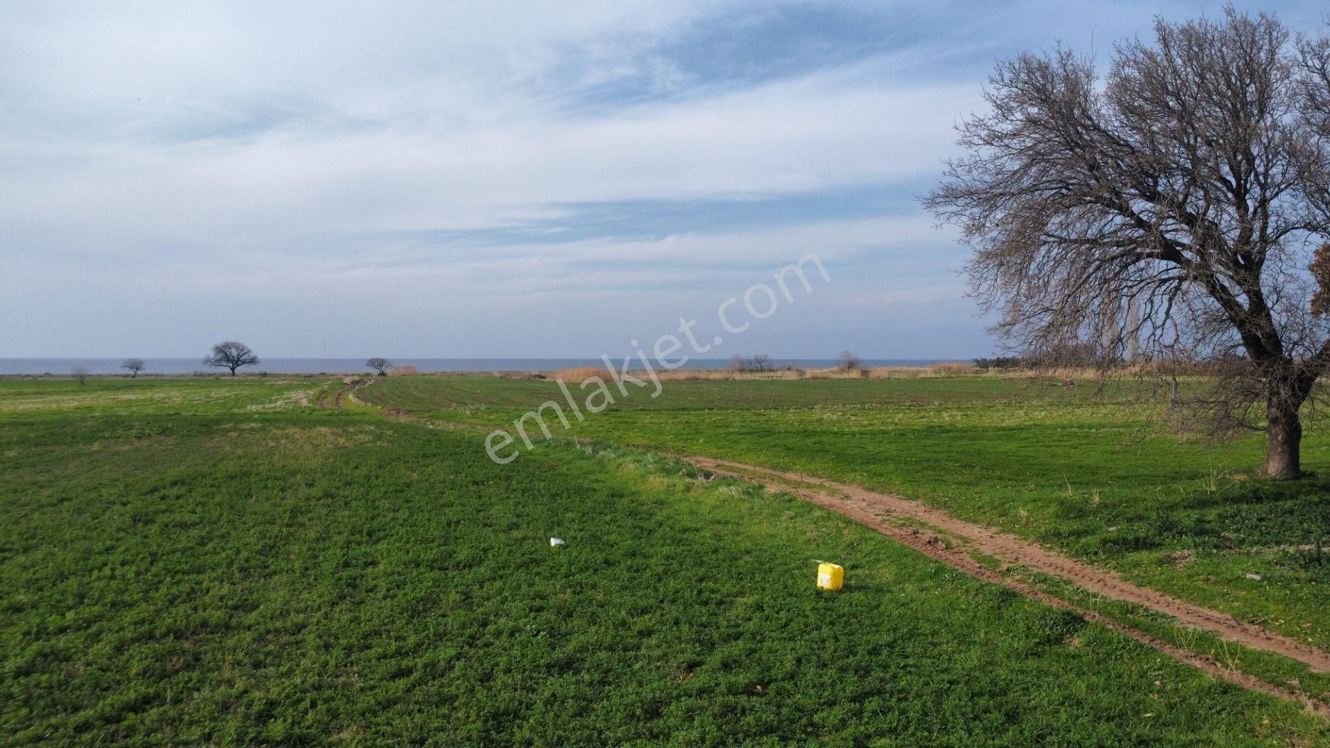 Ayvacık Kösedere Köyü (Merkez 2) Satılık Tarla Ayvacık Kösederede Denize 170 Metre Uzaklıkta 2650 M2 Tarla