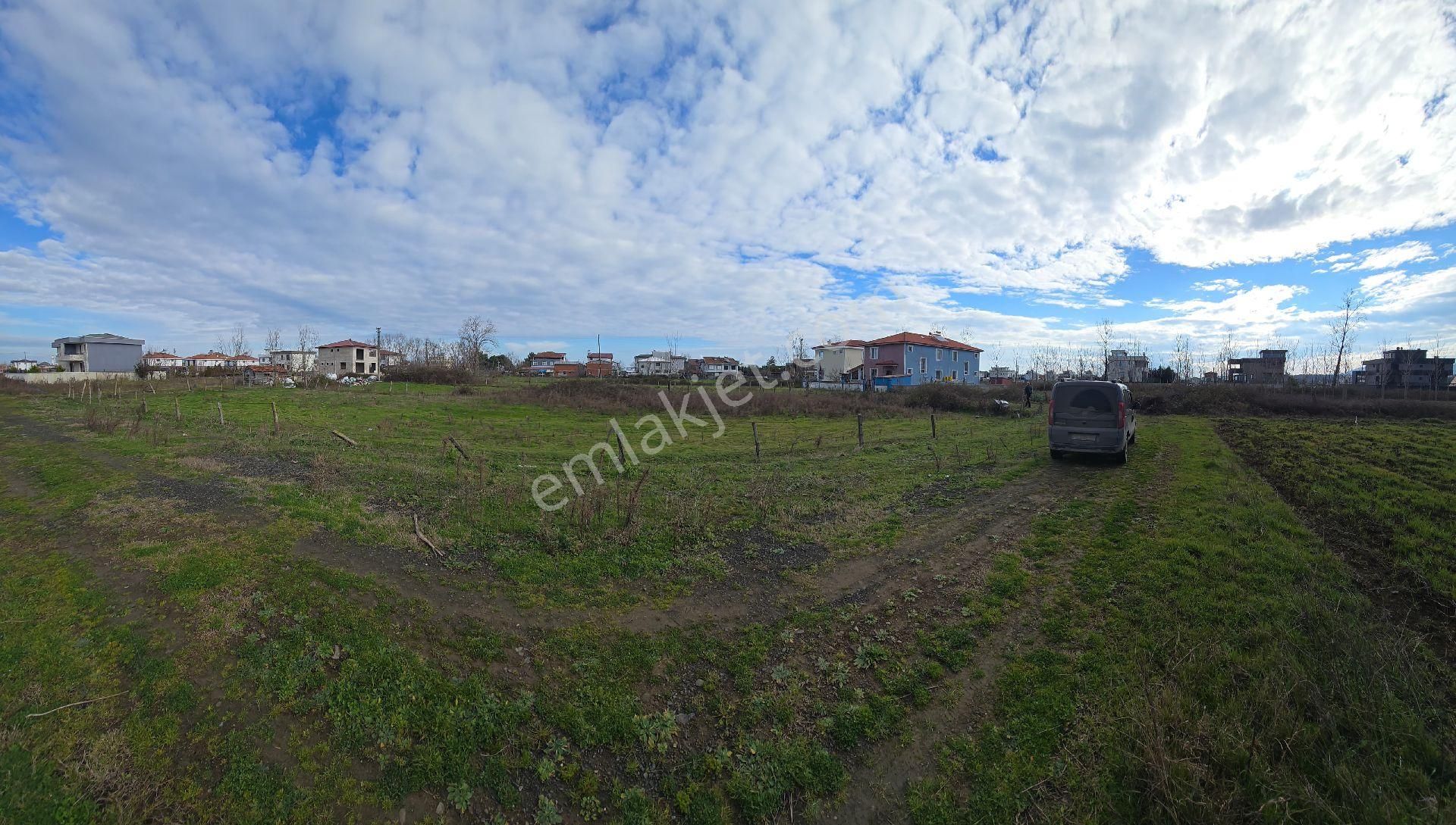 Canik Yayla Satılık Tarla Akalan Arsa Ofisinden Tekkeköy Yaylageris De Tarla