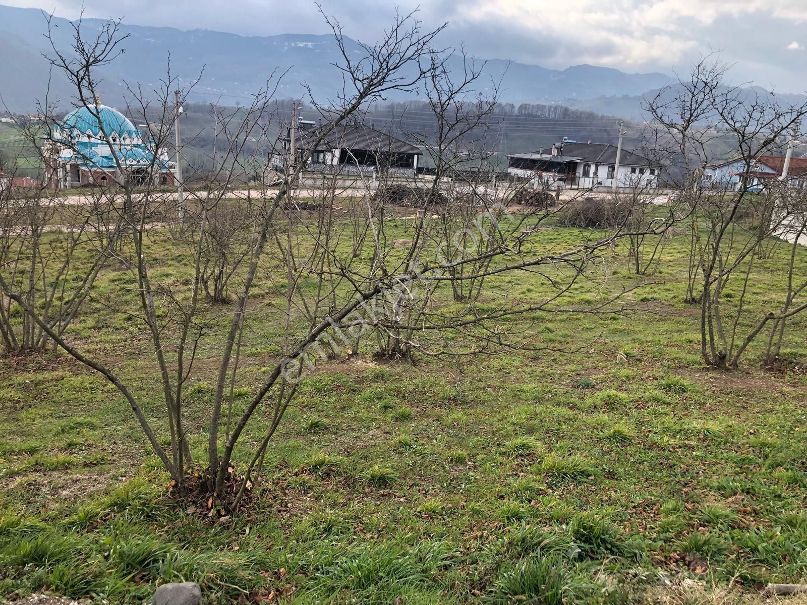 Akyazı Reşadiye Satılık Konut İmarlı Sakarya Akyazı'da Muhteşem Lokasyonlu Satılık Arsa