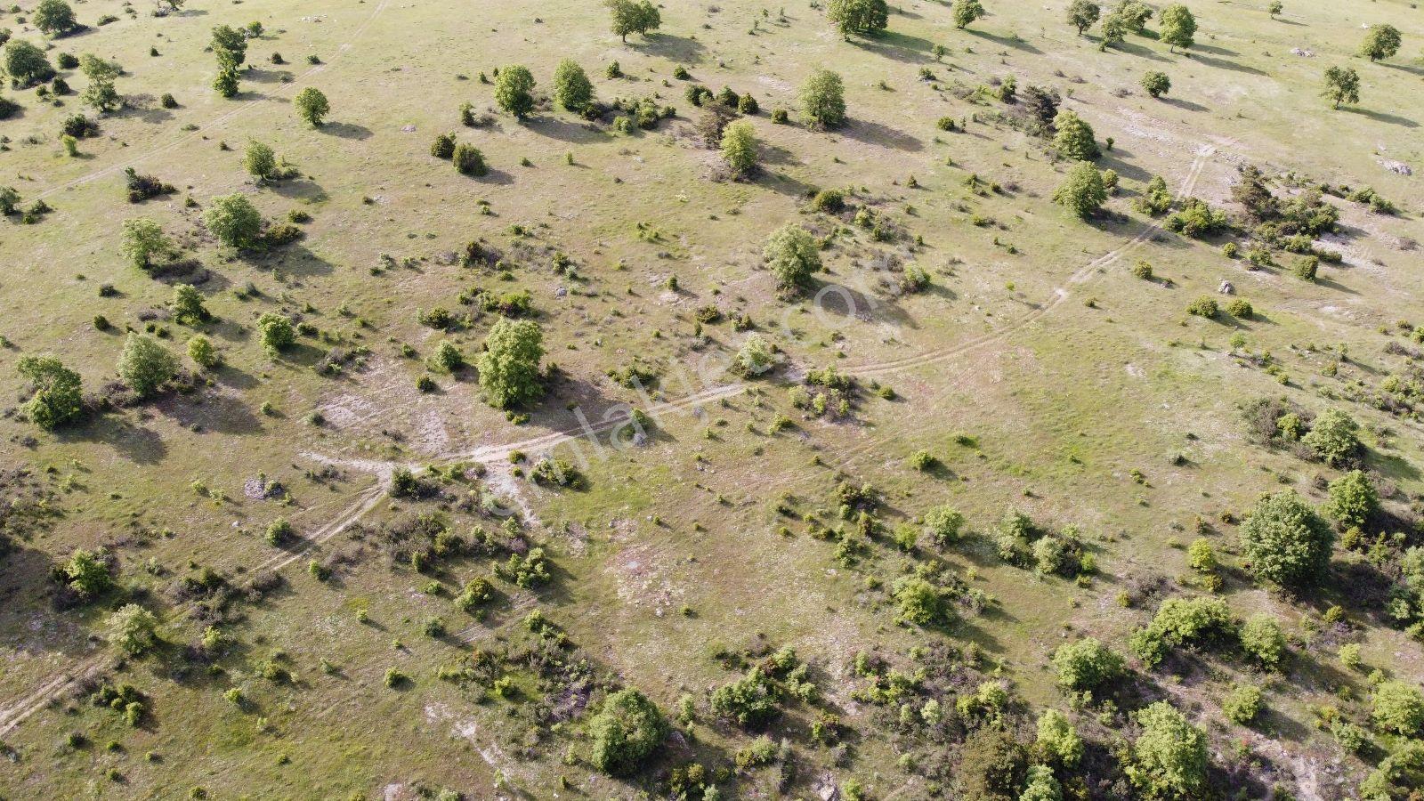 Sahibinden Müstakil Parsel Yatirimlik Arazi 5dönüm - Görsel 13