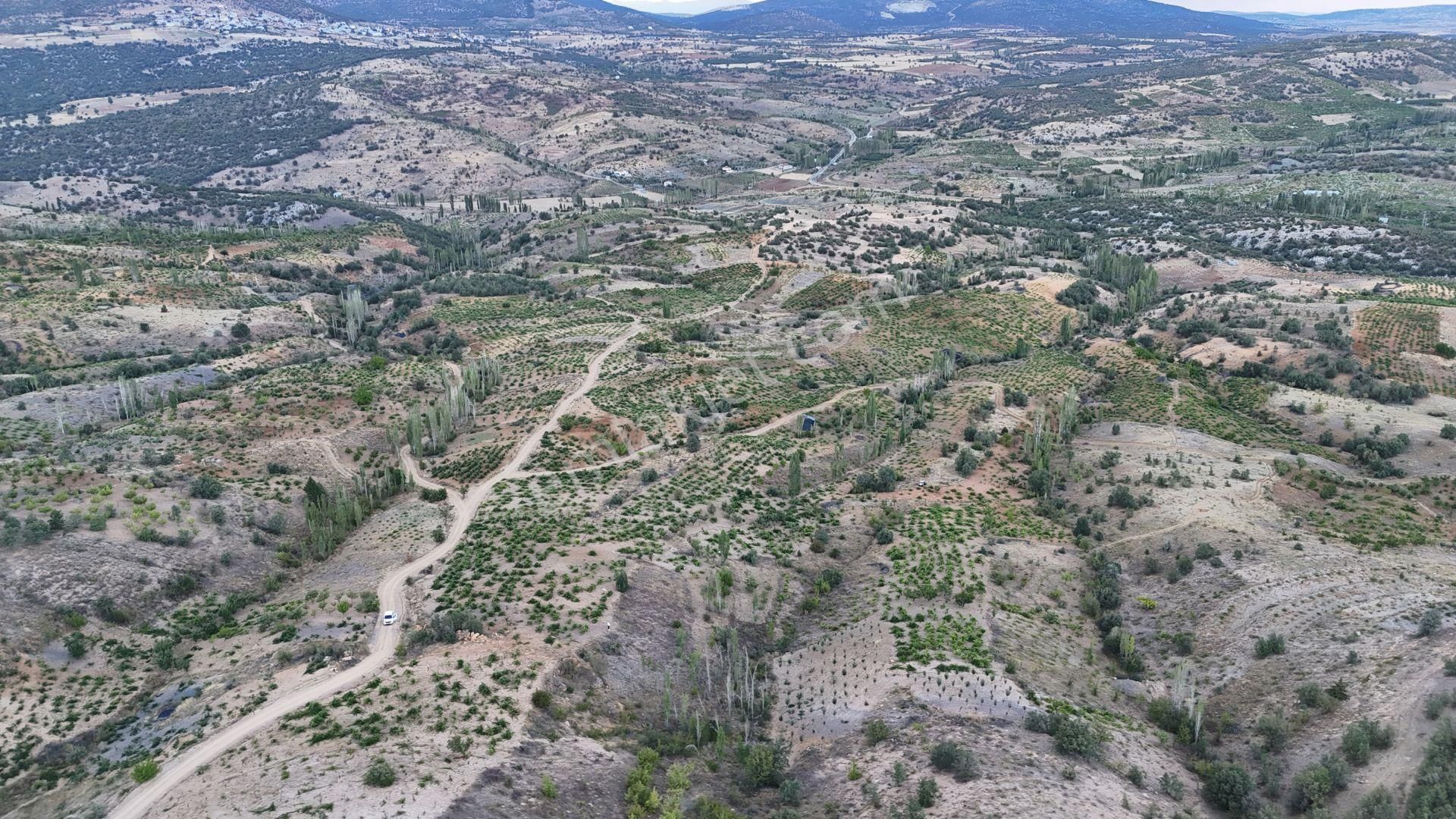 Bozkır Hamzalar Satılık Tarla Konya / Bozkır / Hamzalar Da 2.022 M² Müstakil Tapulu Tarla