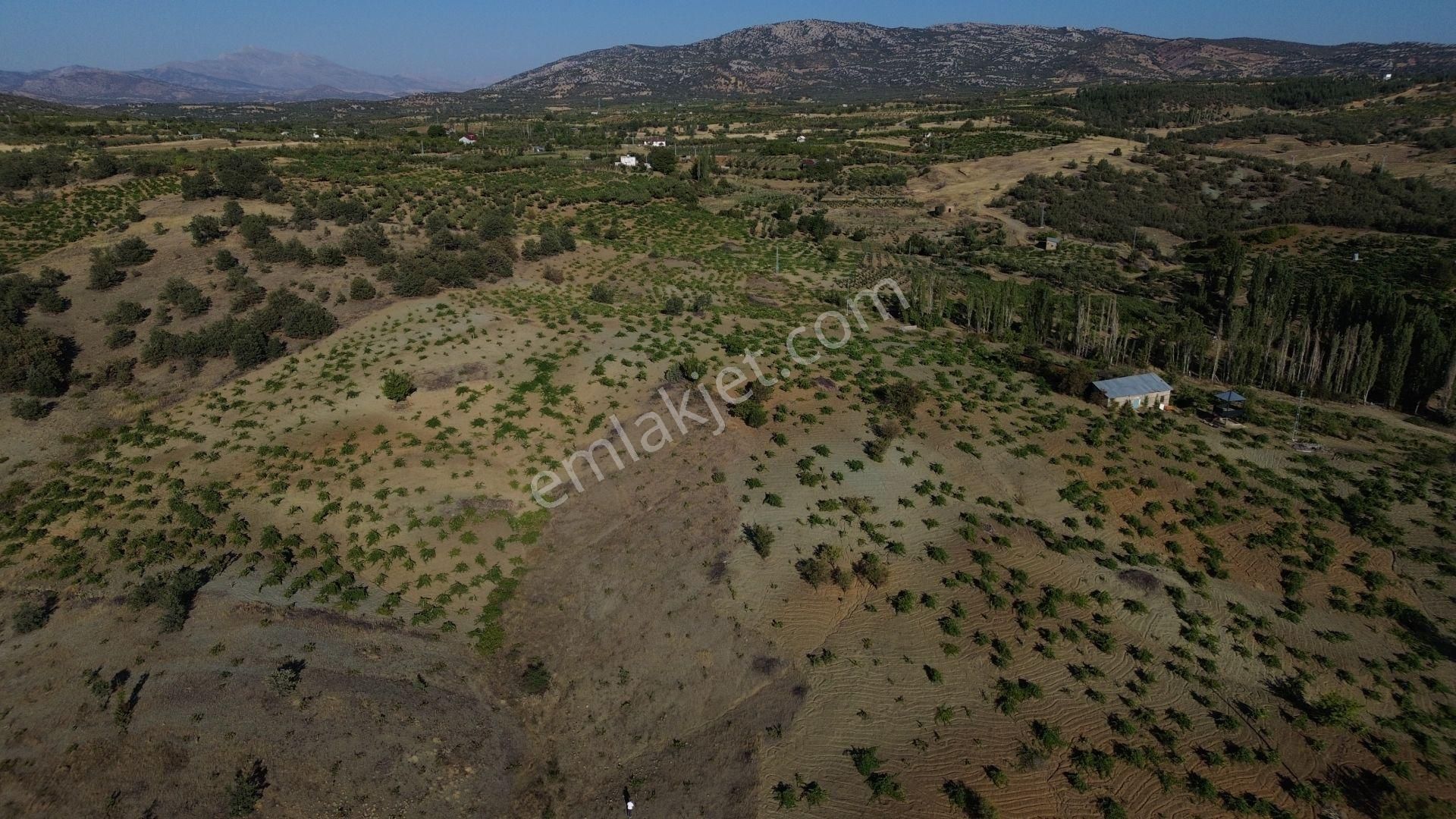 Bozkır Hamzalar Satılık Tarla Konya / Bozkır / Hamzalar Da 1.005 M² Müstakil Bağ