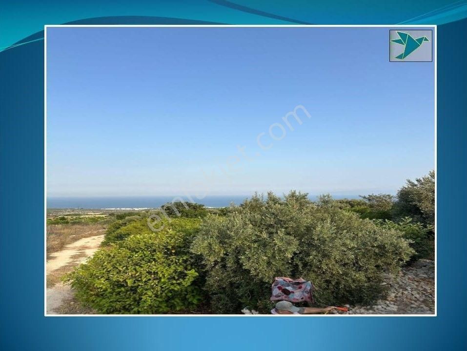 Mersin Erdemli'de Deniz Manzaralı Satılık Limon Bahçesi - Görsel 14