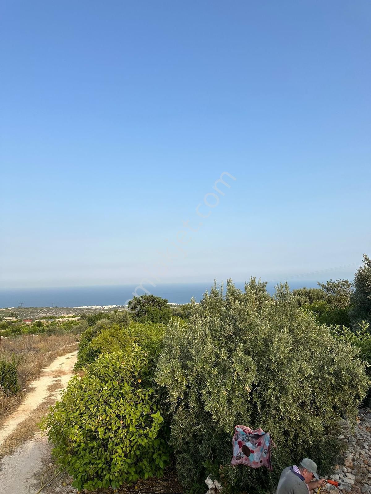 Mersin Erdemli'de Deniz Manzaralı Satılık Limon Bahçesi - Görsel 3