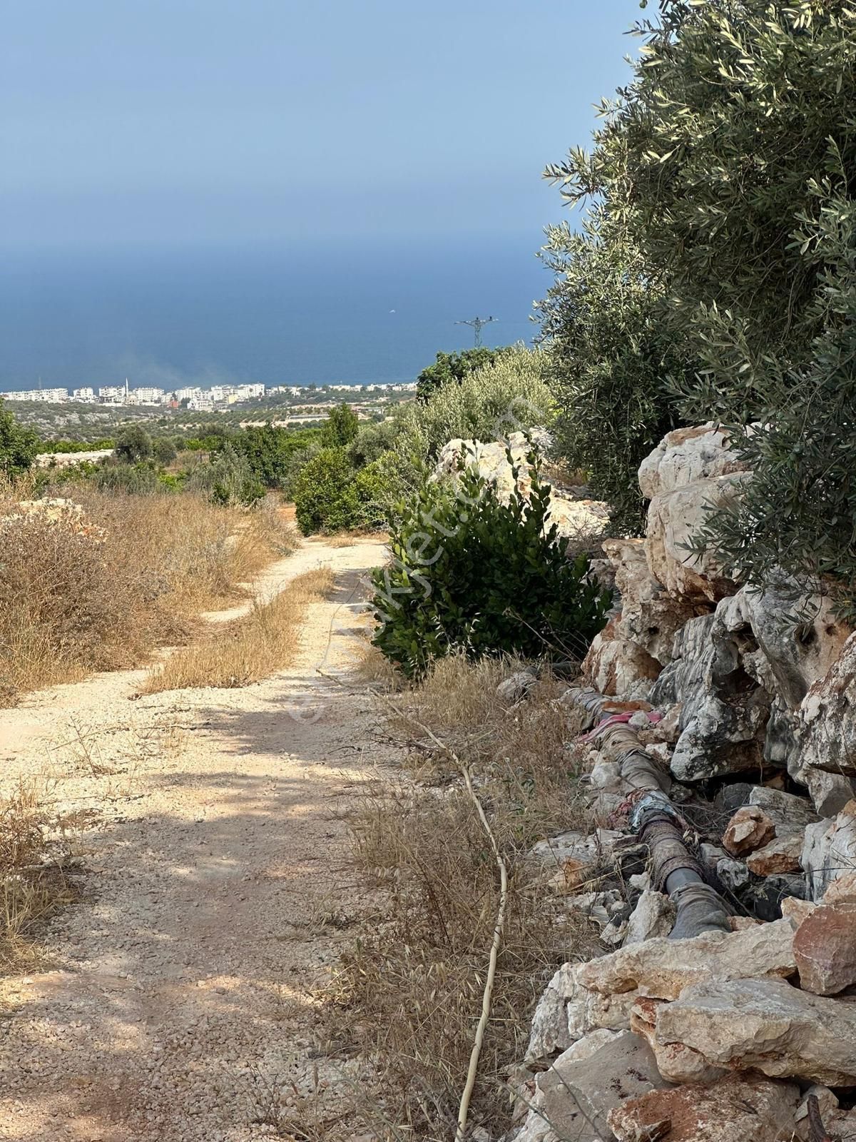 Mersin Erdemli'de Deniz Manzaralı Satılık Limon Bahçesi - Görsel 12