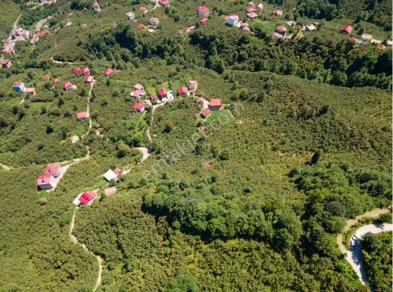 Görele Karakeş Köyü Satılık Konut İmarlı Haftanın Fırsatı!herkesin İmarlı Müstakil Yeri Olsun! Tek Fiyat