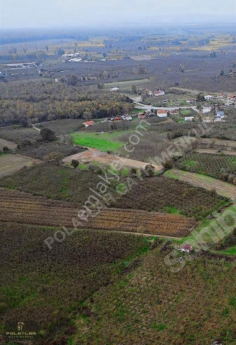 Hendek Sivritepe Satılık Tarla Hendek Sivirtepede Köyünde 7.725 M2 Yatırımlık Satılık Tarla!!!