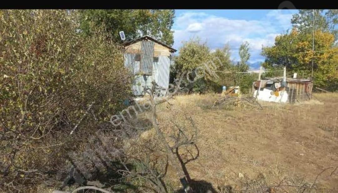 Erzincan Merkez Ergan Köyü Satılık Tarla Remax Dem Den Ergan Köyünde İçinde Ahşap Bağ Evi , 1767 M2 Tarla