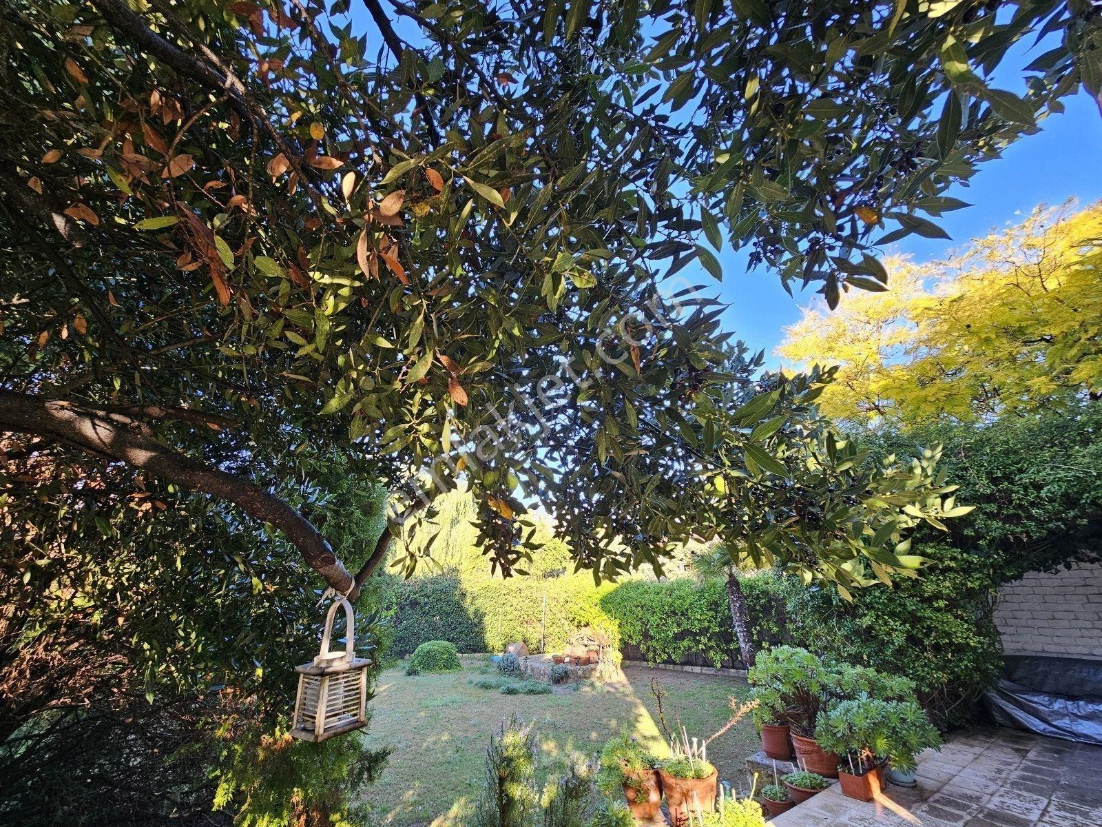 İzmir Çeşme Alaçatı Köy İçinde Müstakil Özel Ev Villa - Görsel 23