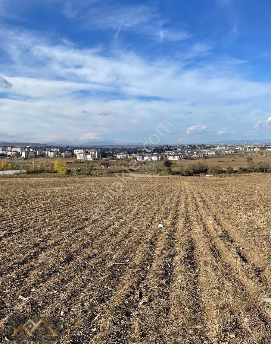 Vezirköprü Çakırtaş Satılık Tarla Güney Emlaktan Şehir Merkezine 500 M Mesafede Yatırılık Satılık Tarla