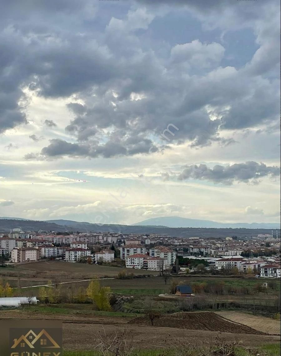 Vezirköprü Çakırtaş Satılık Tarla Güney Emlak Gayrimenkul'den Yatırımlık Tarla