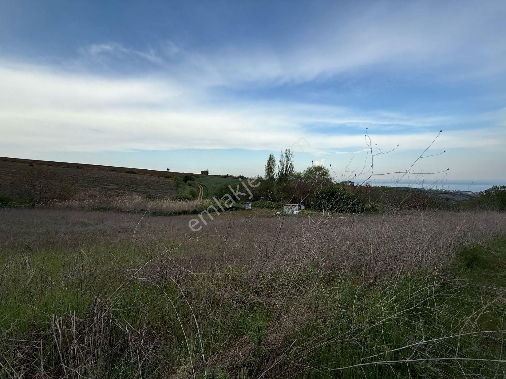 Delux'den Topağaç Mah.'de Full Manzaralı Villa Arsası - Görsel 2