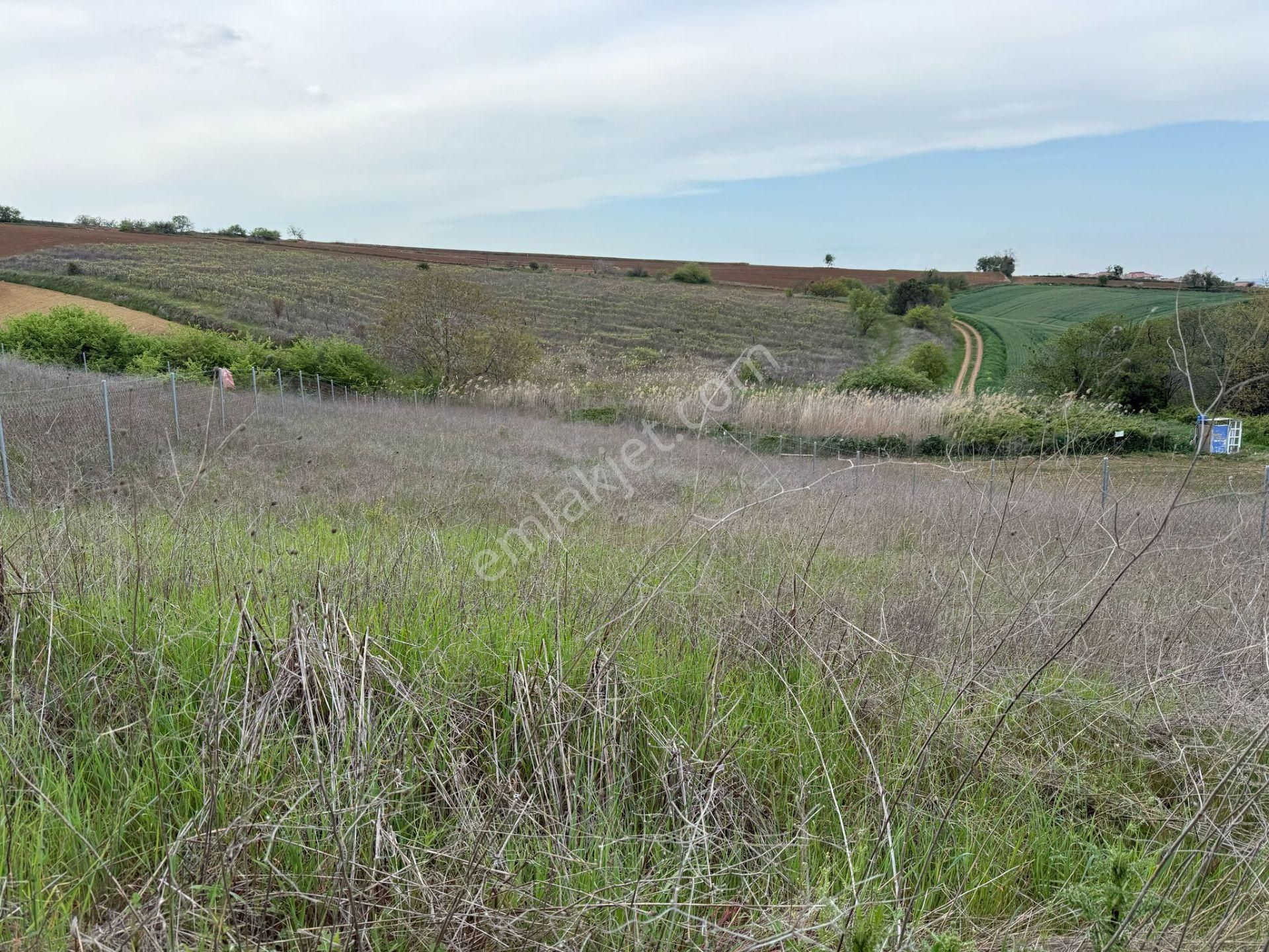 Delux'den Topağaç Mah.'de Full Manzaralı Villa Arsası - Görsel 3