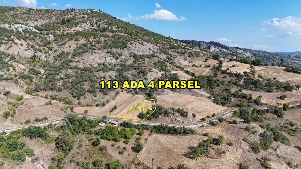 Hamamözü Arpadere Köyü (Orta) Satılık Tarla Amasya / Hamamözü / Arpaderesi De 1.343 M² Müstakil Tapulu Tarla