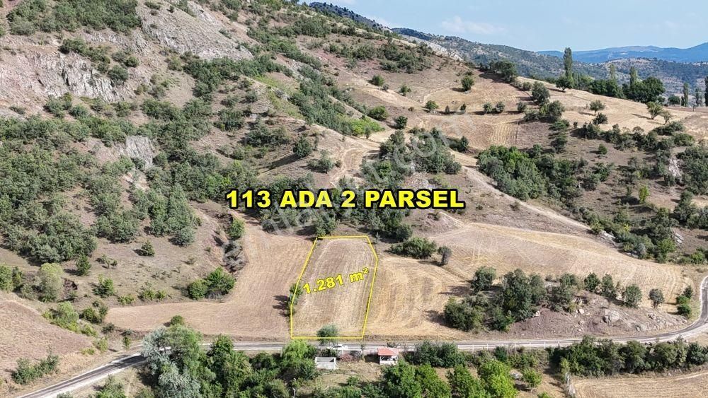 Hamamözü Arpadere Köyü (Merkez) Satılık Tarla Amasya / Hamamözü / Arpaderesi De 1.281 M² Müstakil Tapulu Tarla