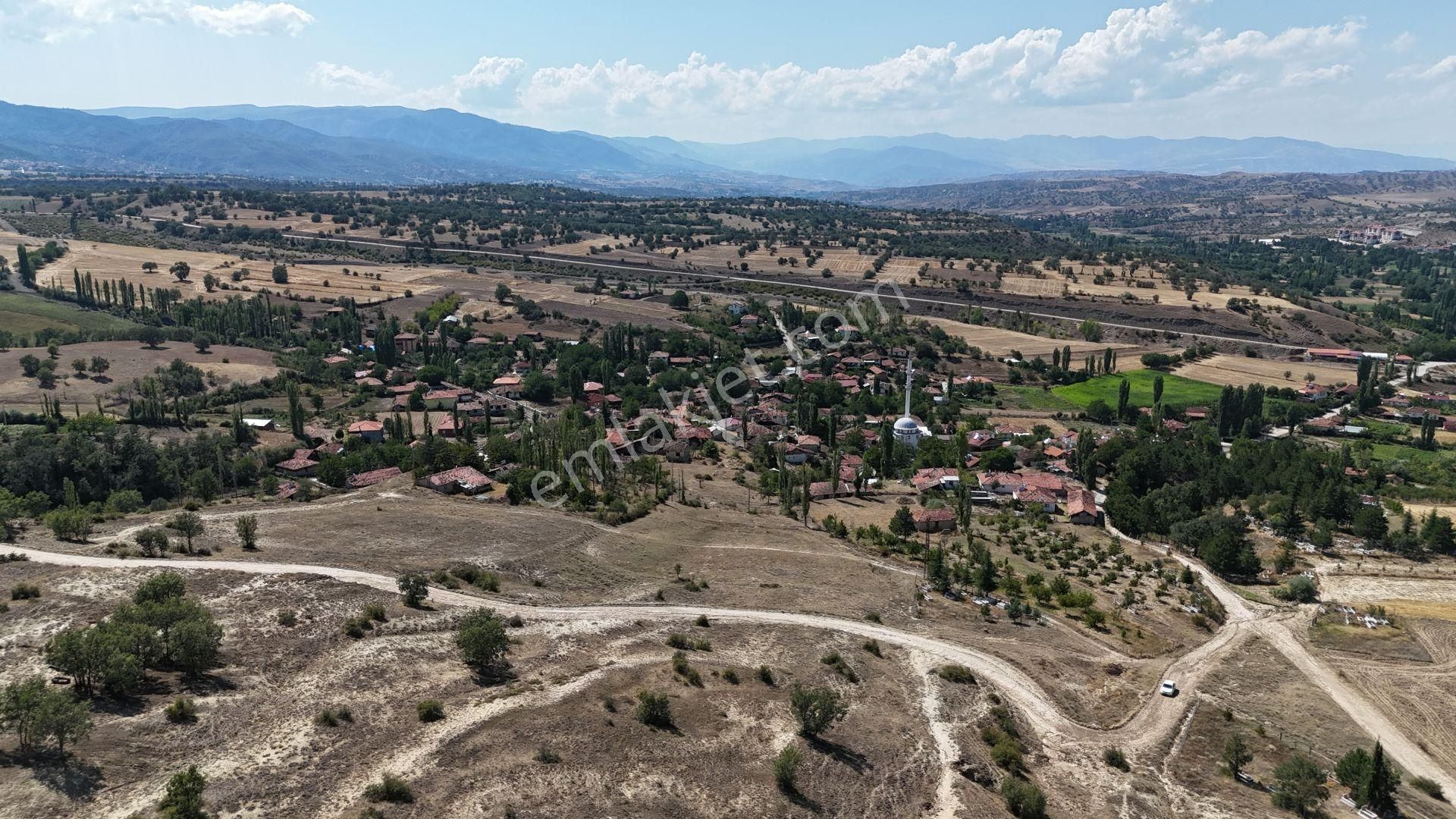 Hamamözü Damladere Köyü Satılık Tarla Amasya / Hamamözü / Damladere De 1.170 M² Müstakil Tapulu Tarla