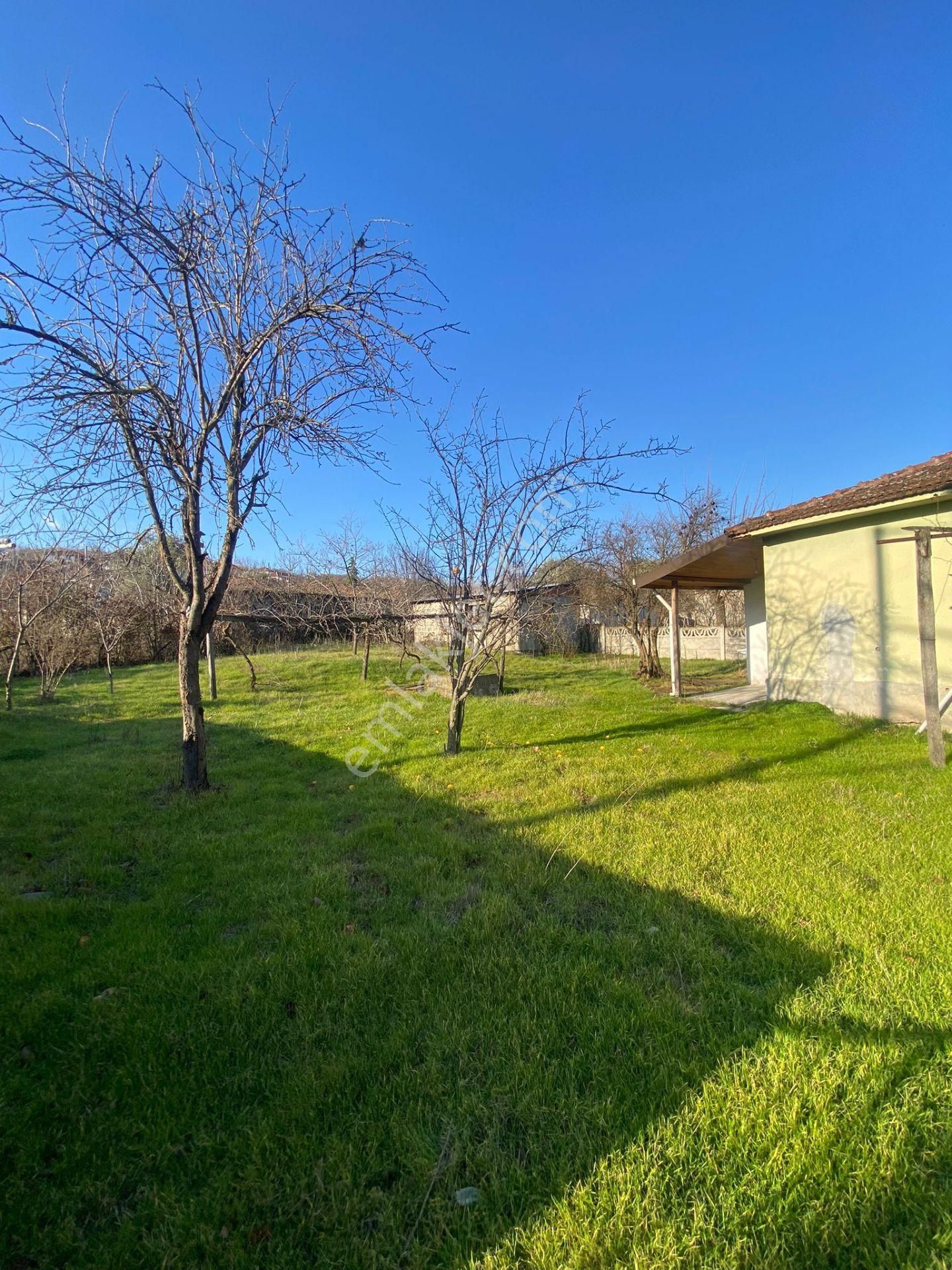 Balıkesir Gönen Kumköy Mah 650m2 Masrafsız Müstakil Köyevi - Görsel 8