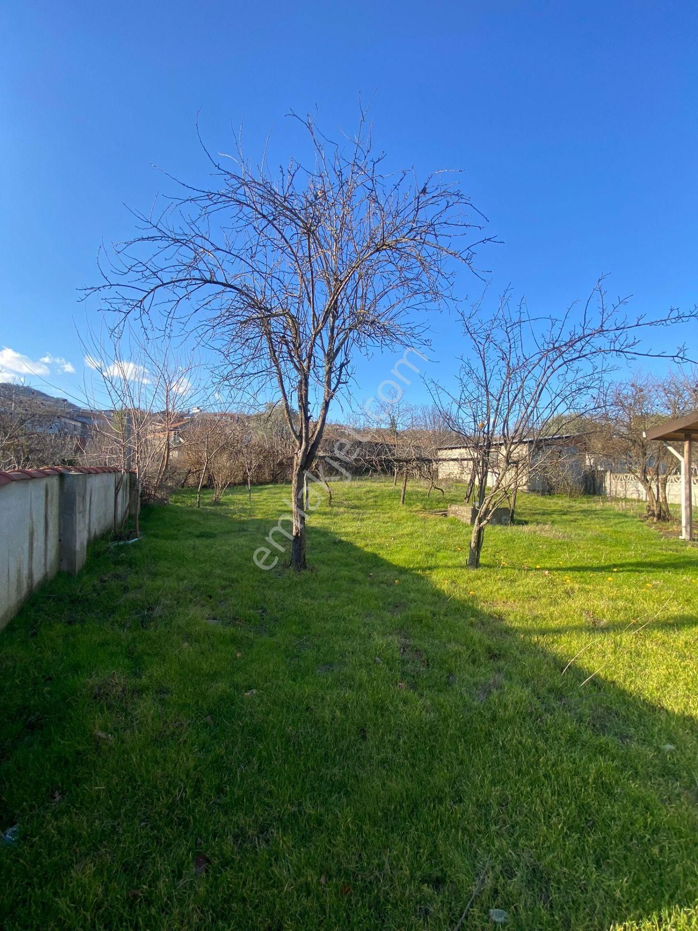 Balıkesir Gönen Kumköy Mah 650m2 Masrafsız Müstakil Köyevi - Görsel 3