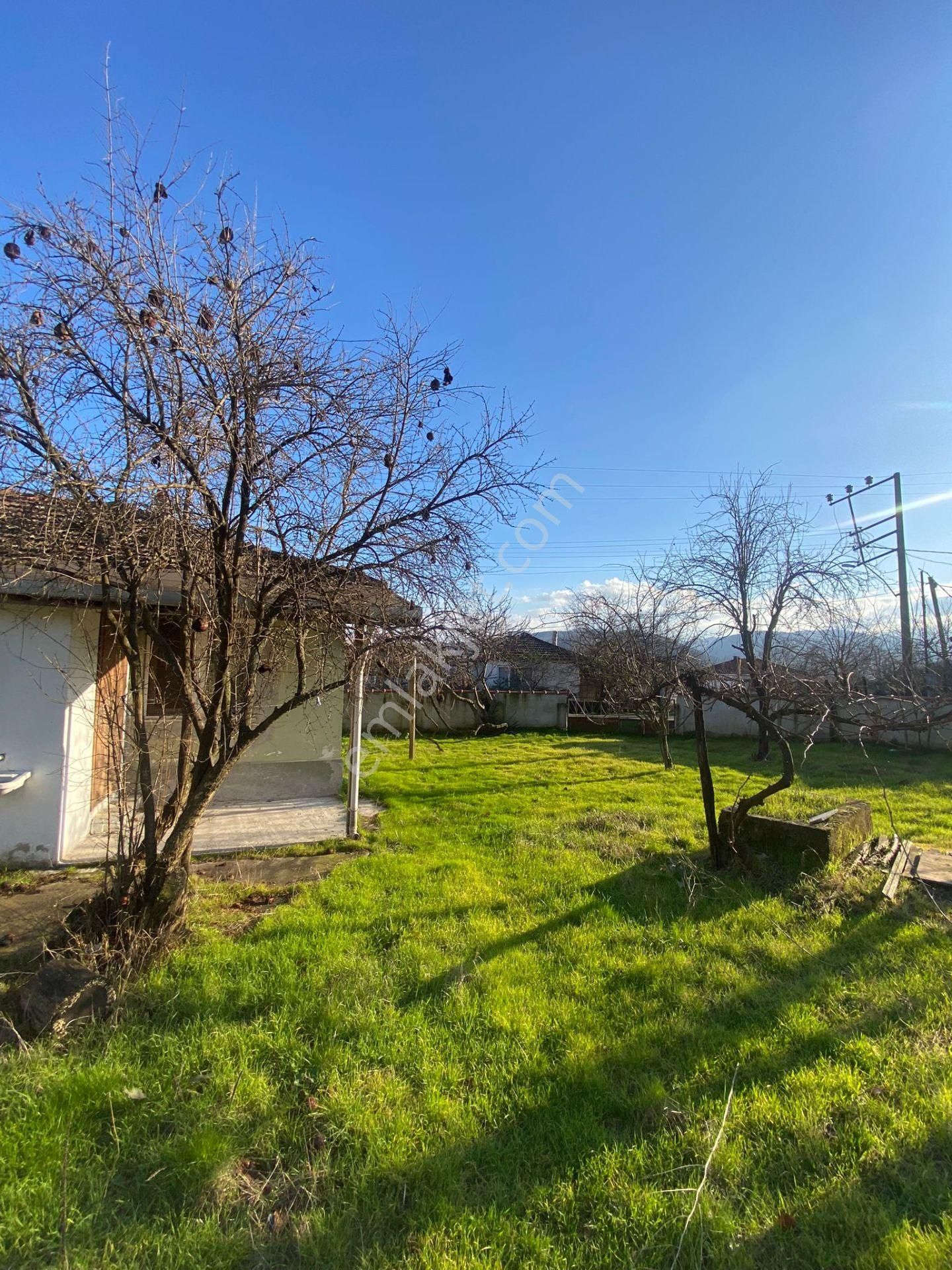 Balıkesir Gönen Kumköy Mah 650m2 Masrafsız Müstakil Köyevi - Görsel 12