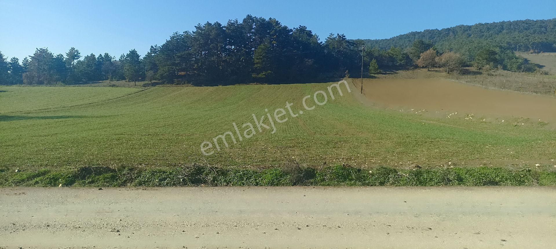 Mudurnu Delice Köyü (Merkez) Satılık Tarla Abant Gölüne 10 Dk Mesafede