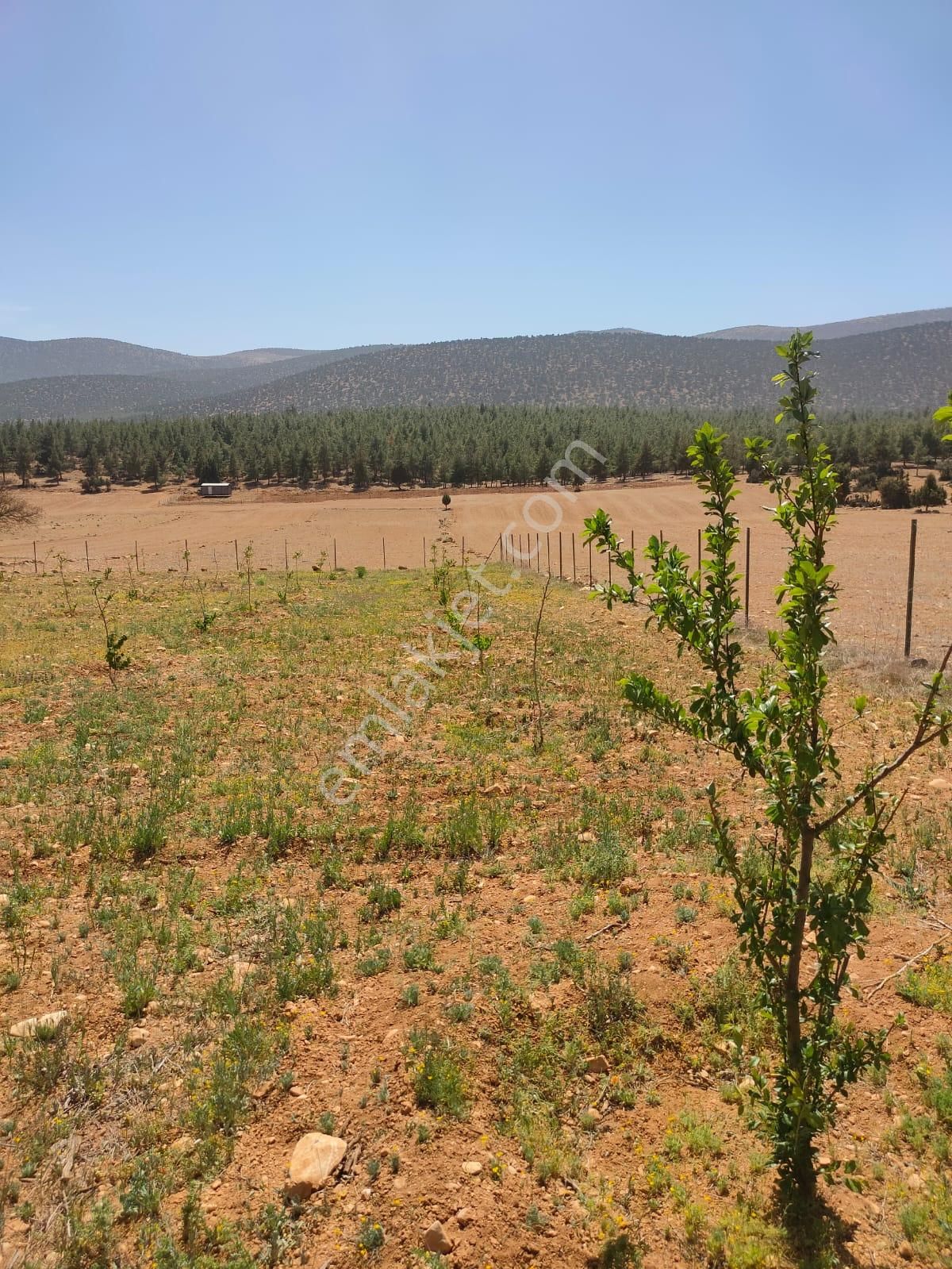 Antalya ,korkuteli ,sımandırda Yatırımlık Satılık 6161m² Tarla - Görsel 12