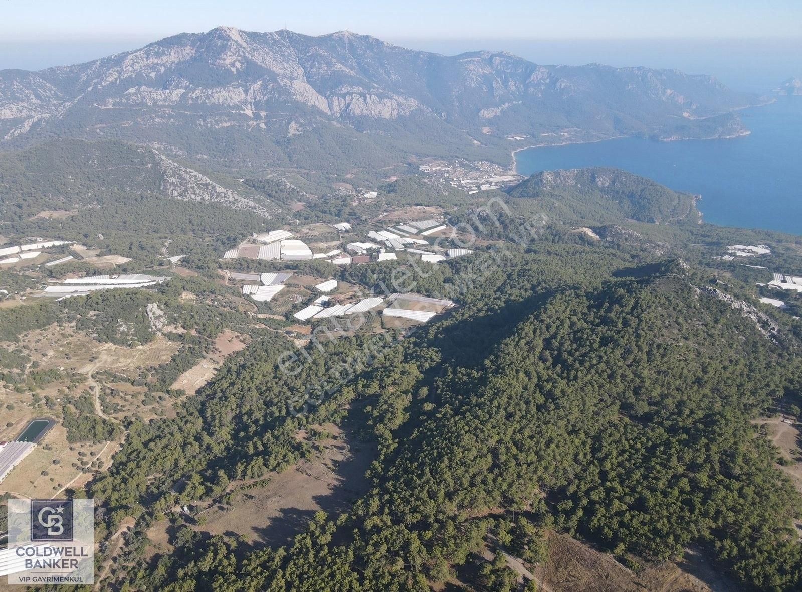 Kumluca Mavikent Satılık Tarla Kumluca Mavikentte Orman İçinde Satılık Müstakil Tapu Arazi