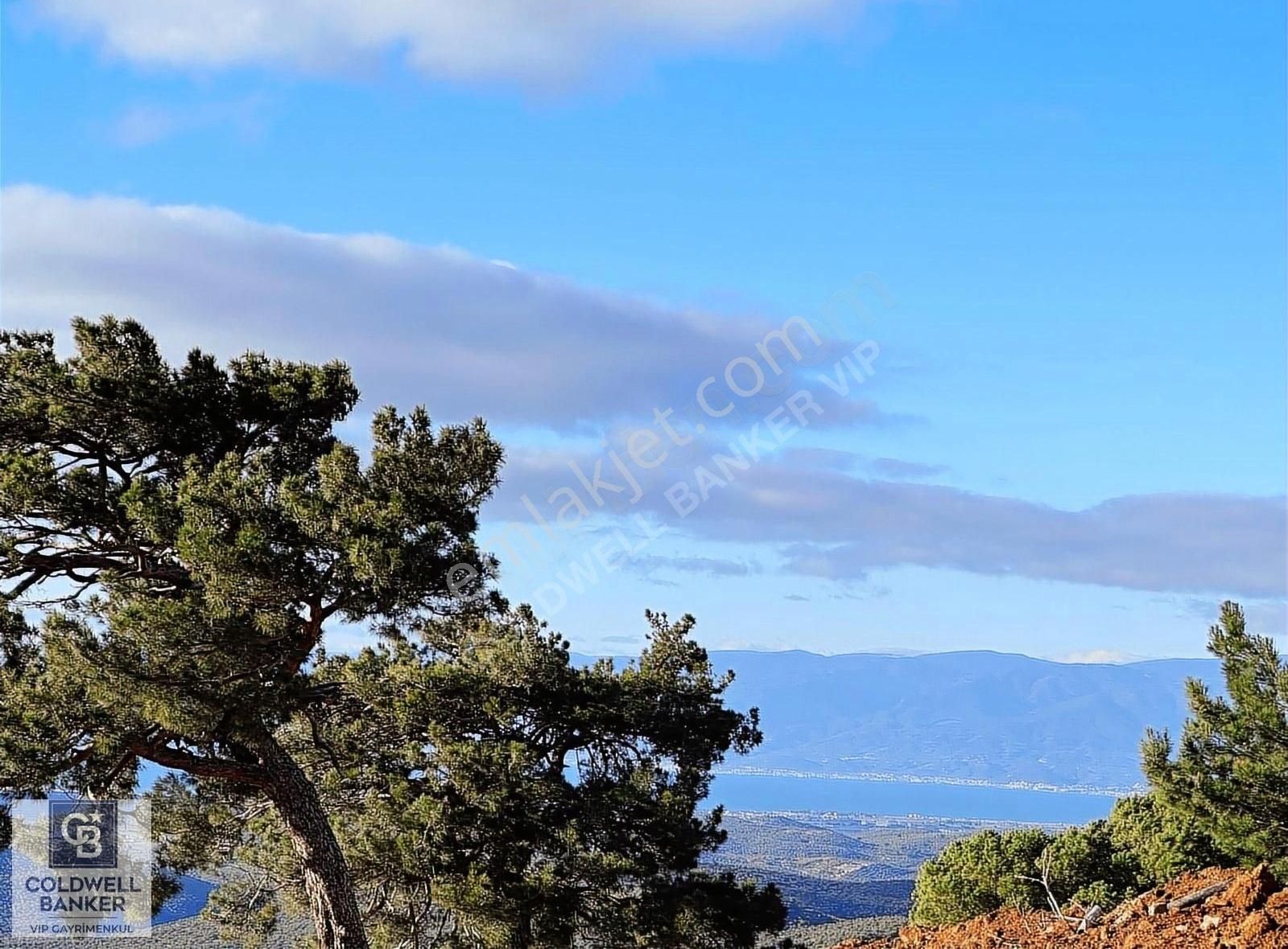 Burhaniye Avunduk Satılık Villa İmarlı Balıkesir Burhaniye Avunduk Köyünde Deniz Manzaralı Arsa