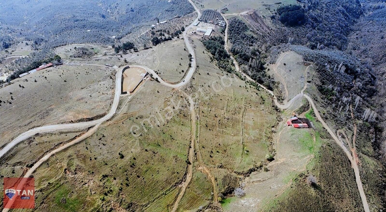 Orhangazi Yeniköy Satılık Tarla Bursa Orhangazi Yeniköy Tek Tapu Büyük Parsel Ana Yola Cephe