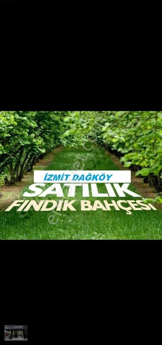 İzmit Dağköy Satılık Tarla Kocaeli İzmit Dağköy De 9.455 M2 Müstakil Tapulu Fındıklık