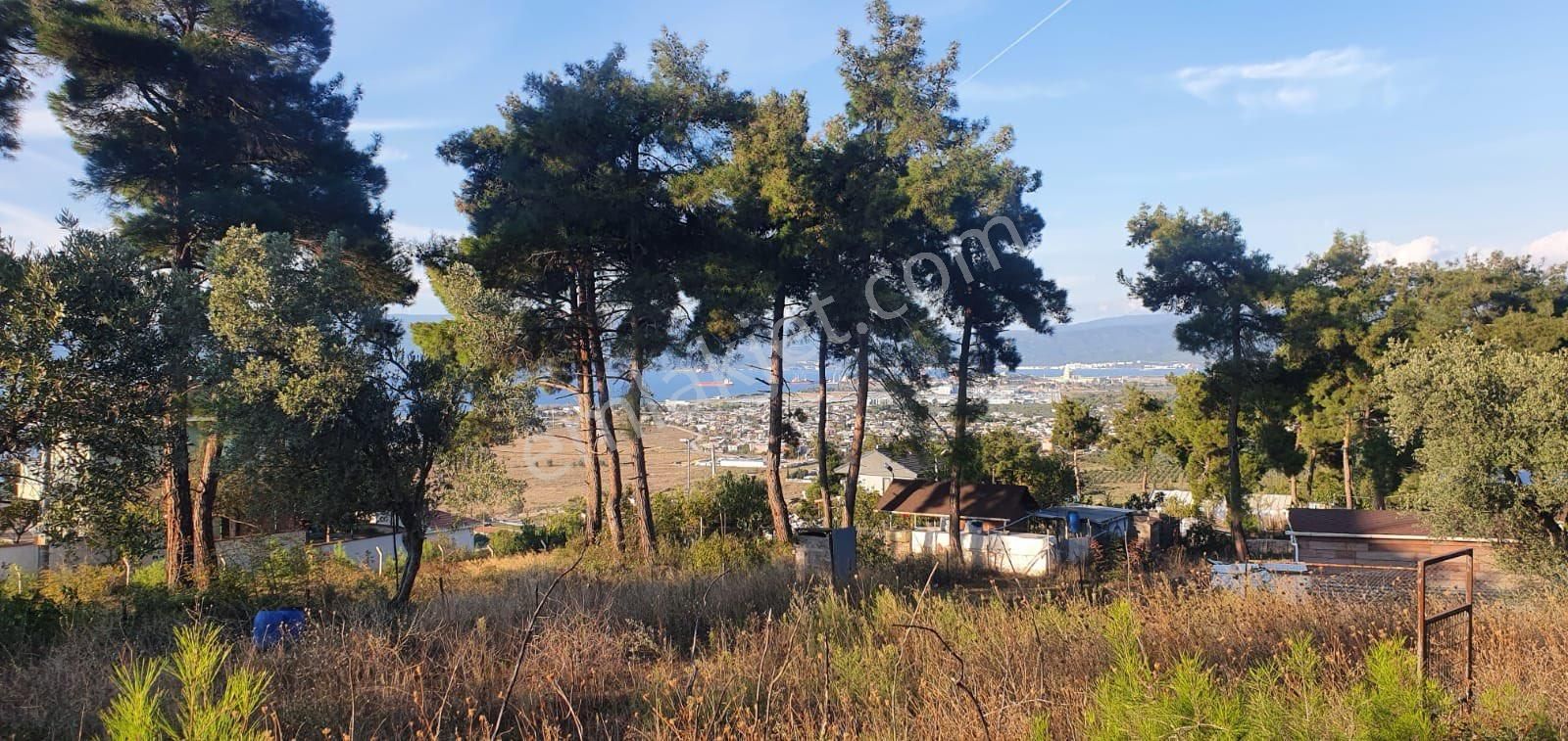 Gemlik Kurşunlu Satılık Villa İmarlı Canyapıdan Gemlik Kurşunluda Satılık Arsa