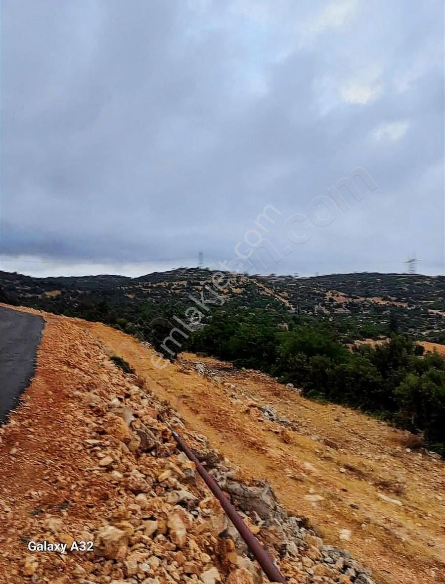 1677 M2 Tarla Çaltıbozkır Koruklu Mevkisi - Görsel 2