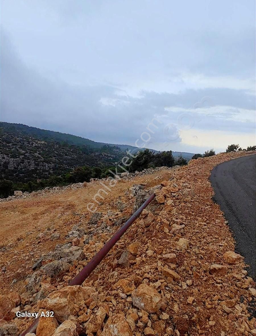 1677 M2 Tarla Çaltıbozkır Koruklu Mevkisi - Görsel 4