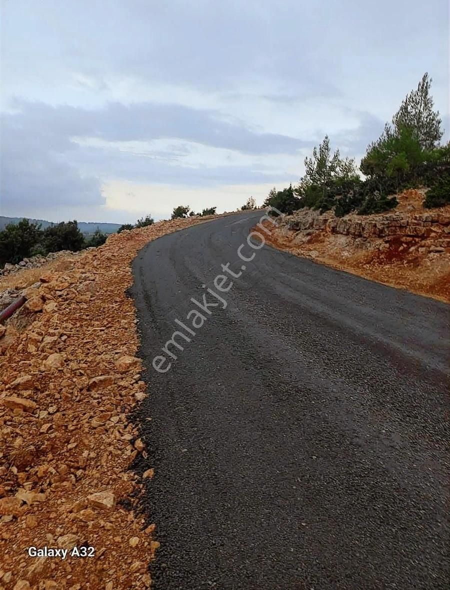 1677 M2 Tarla Çaltıbozkır Koruklu Mevkisi - Görsel 3