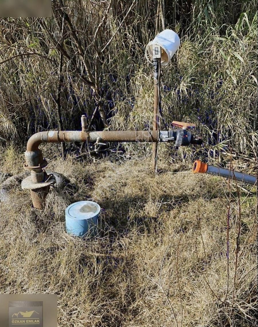 Özkan Emlaktan Satılık Çiftlik - Görsel 6
