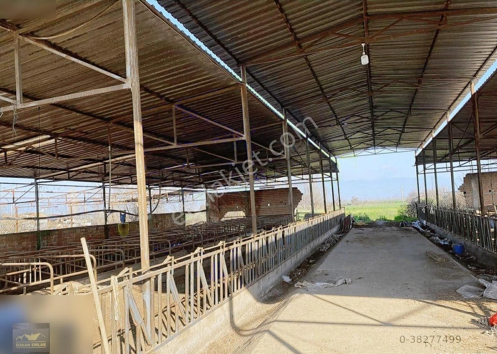 Özkan Emlaktan Satılık Çiftlik - Görsel 22