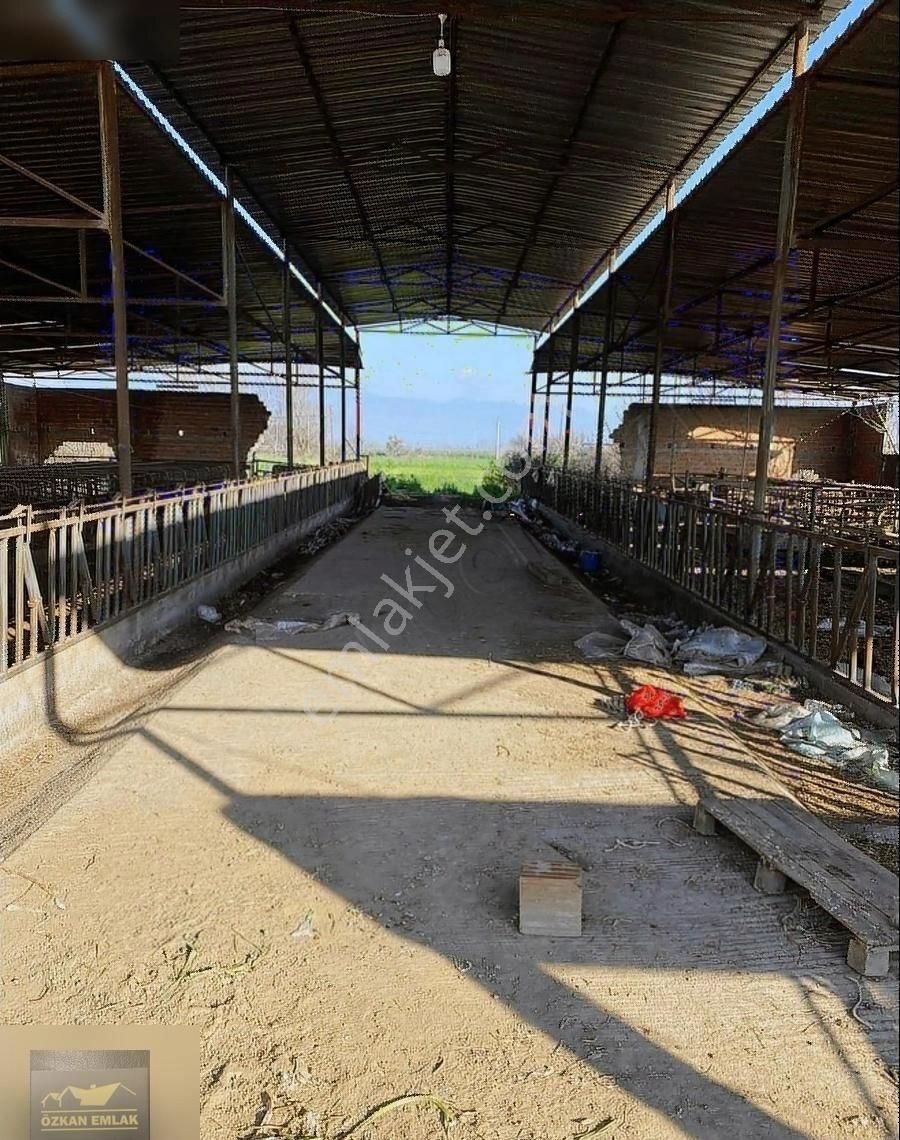 Özkan Emlaktan Satılık Çiftlik - Görsel 11