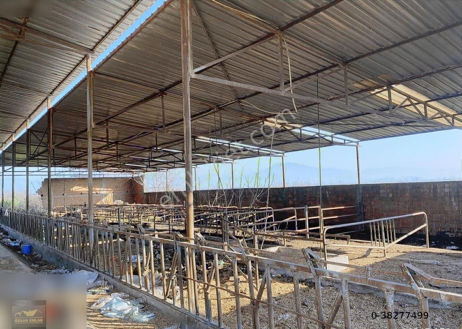 Özkan Emlaktan Satılık Çiftlik - Görsel 23