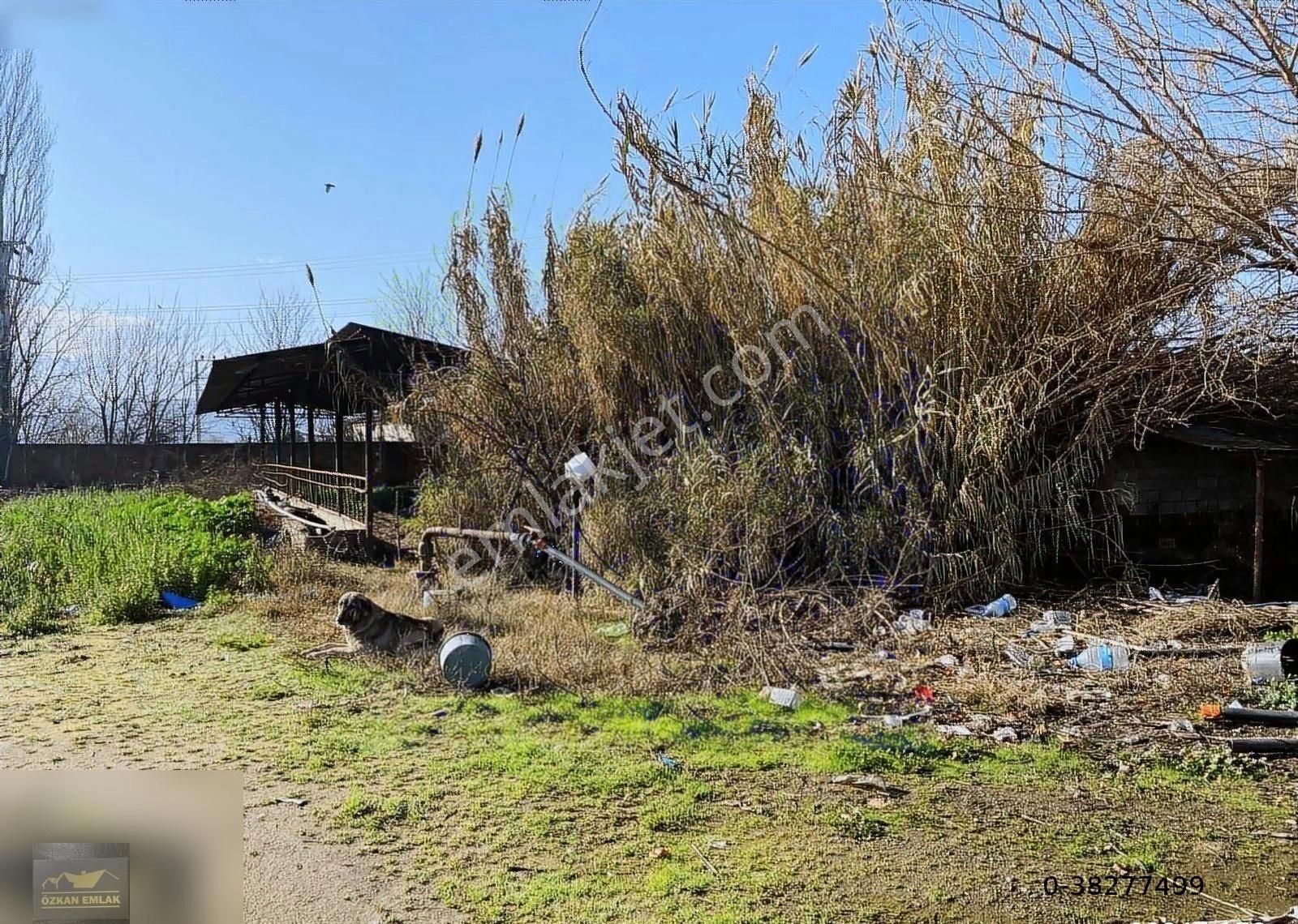 Özkan Emlaktan Satılık Çiftlik - Görsel 9