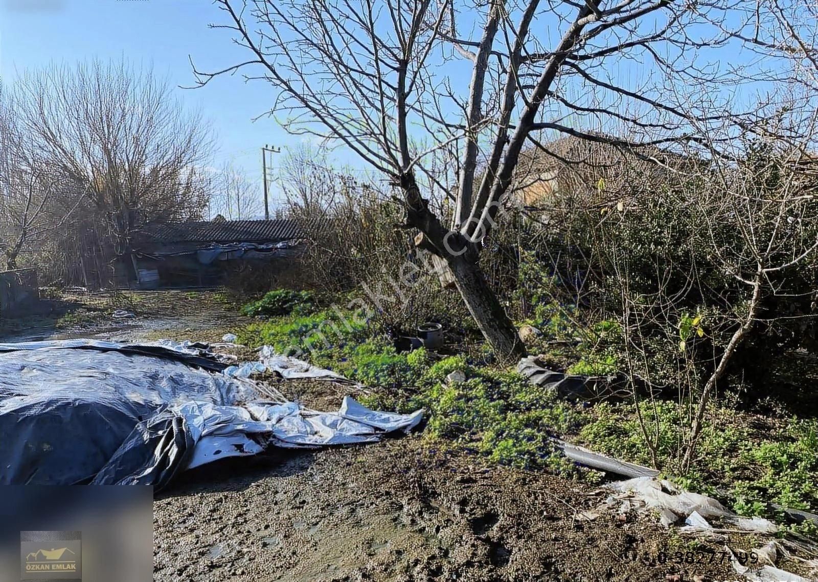 Özkan Emlaktan Satılık Çiftlik - Görsel 16