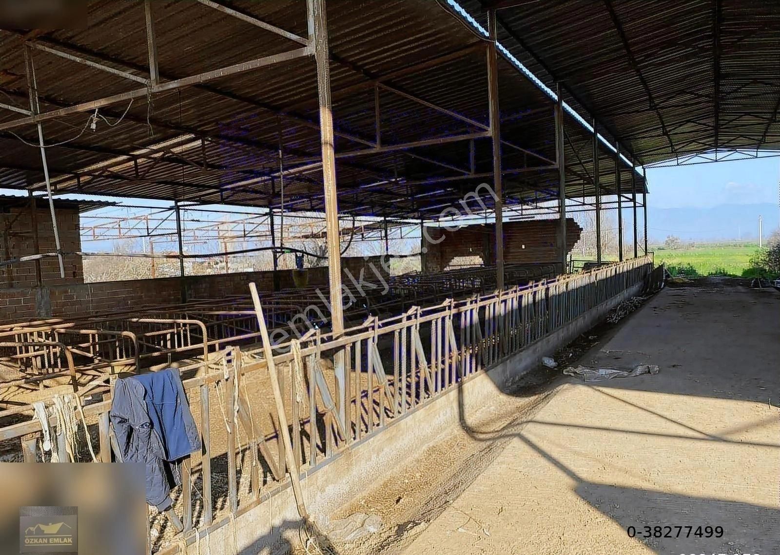 Özkan Emlaktan Satılık Çiftlik - Görsel 7