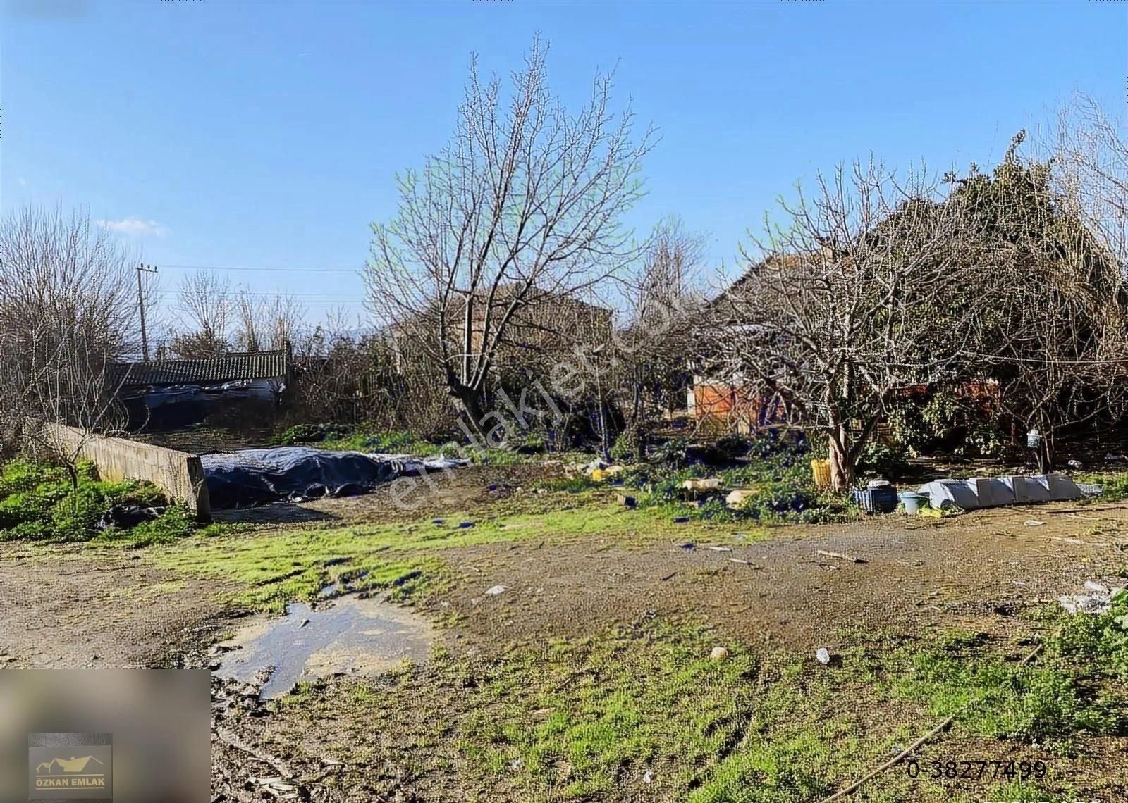 Özkan Emlaktan Satılık Çiftlik - Görsel 18
