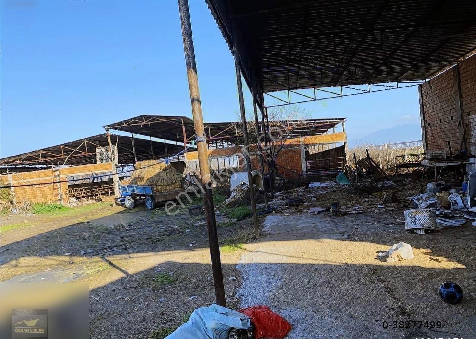 Özkan Emlaktan Satılık Çiftlik - Görsel 20