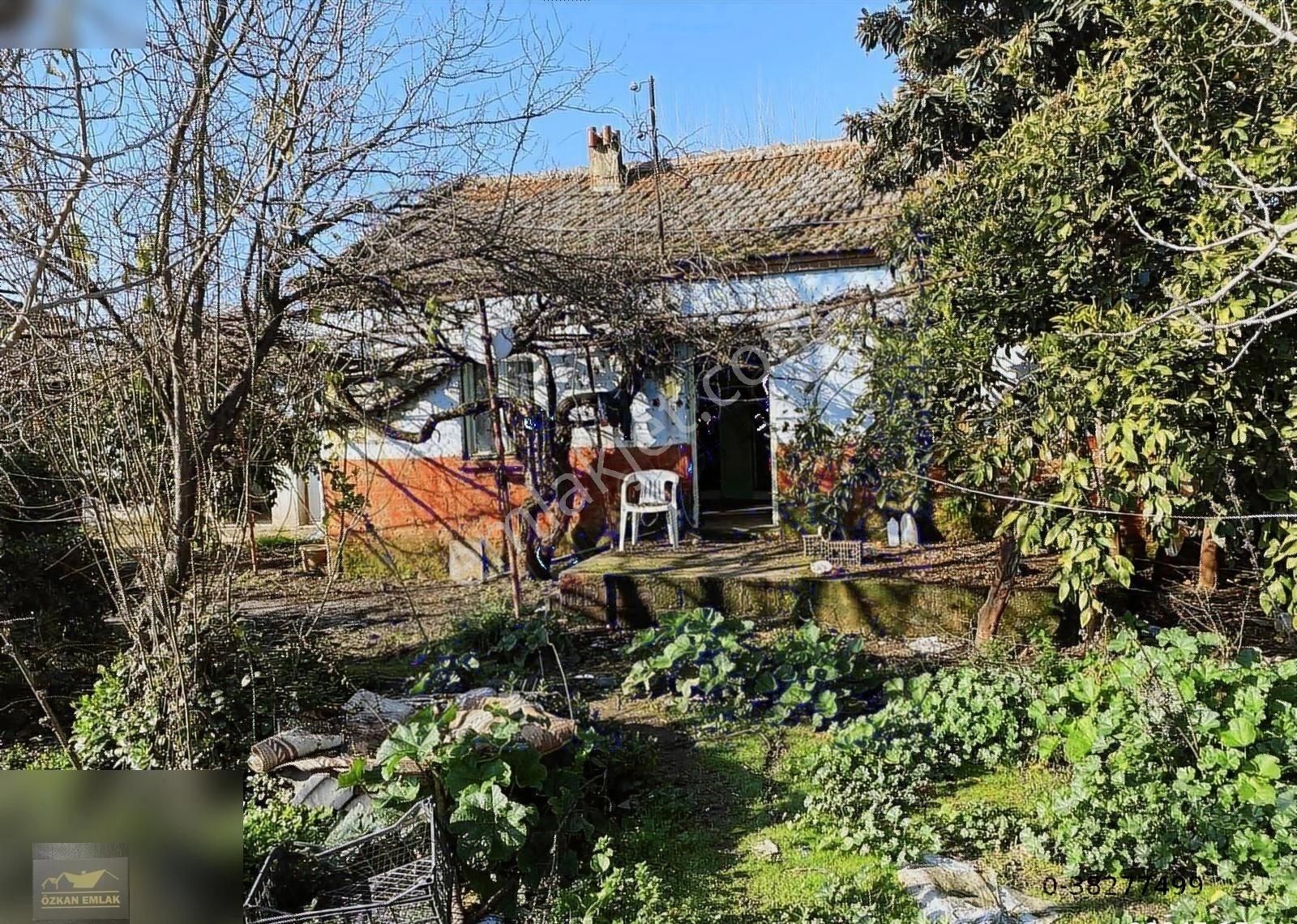 Özkan Emlaktan Satılık Çiftlik - Görsel 13