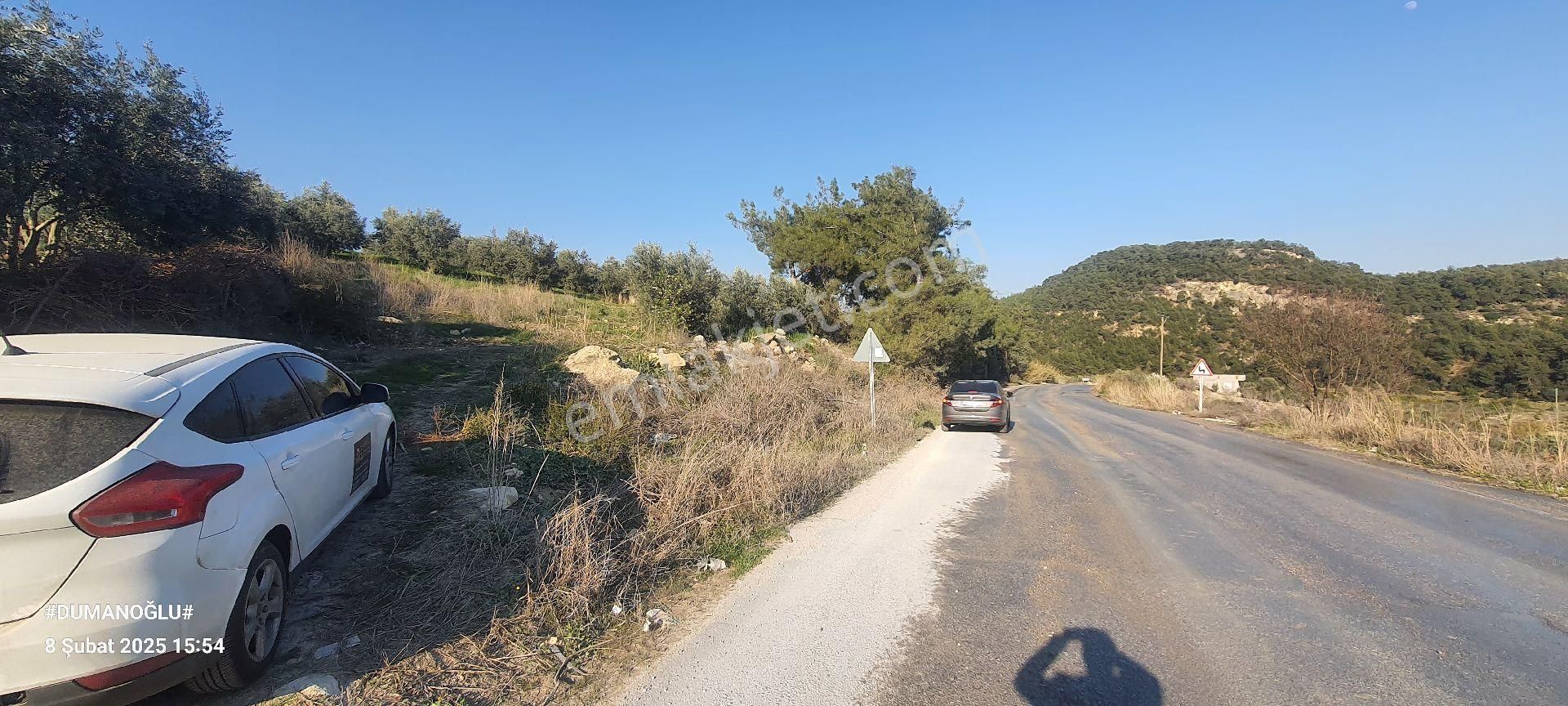 Akdeniz Camili Satılık Bağ & Bahçe 📌 Satılık Arazi Zeytin Bahçesi Camili Mah.📌