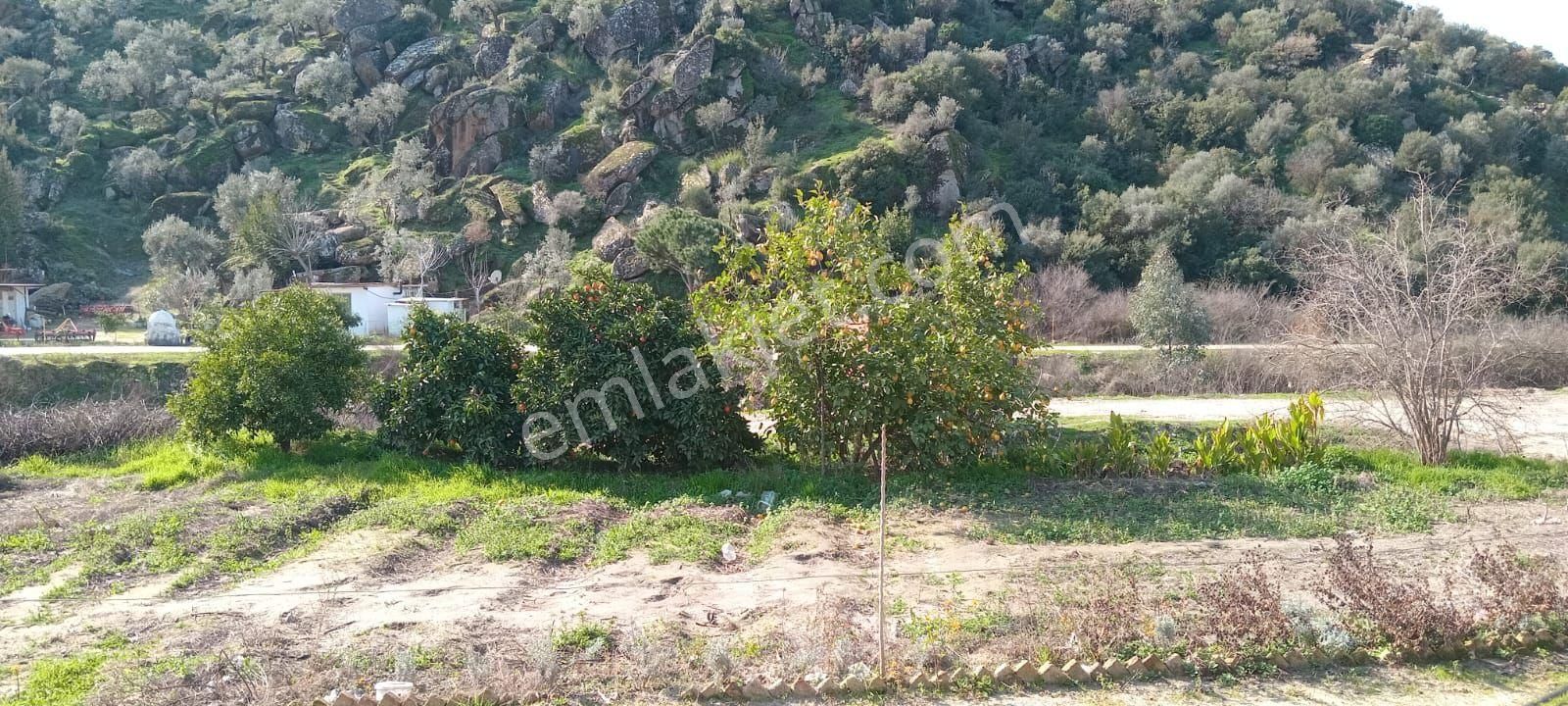 Aydın Söke Karacahayit Mahallesinde Satılık Köy Evi - Görsel 8