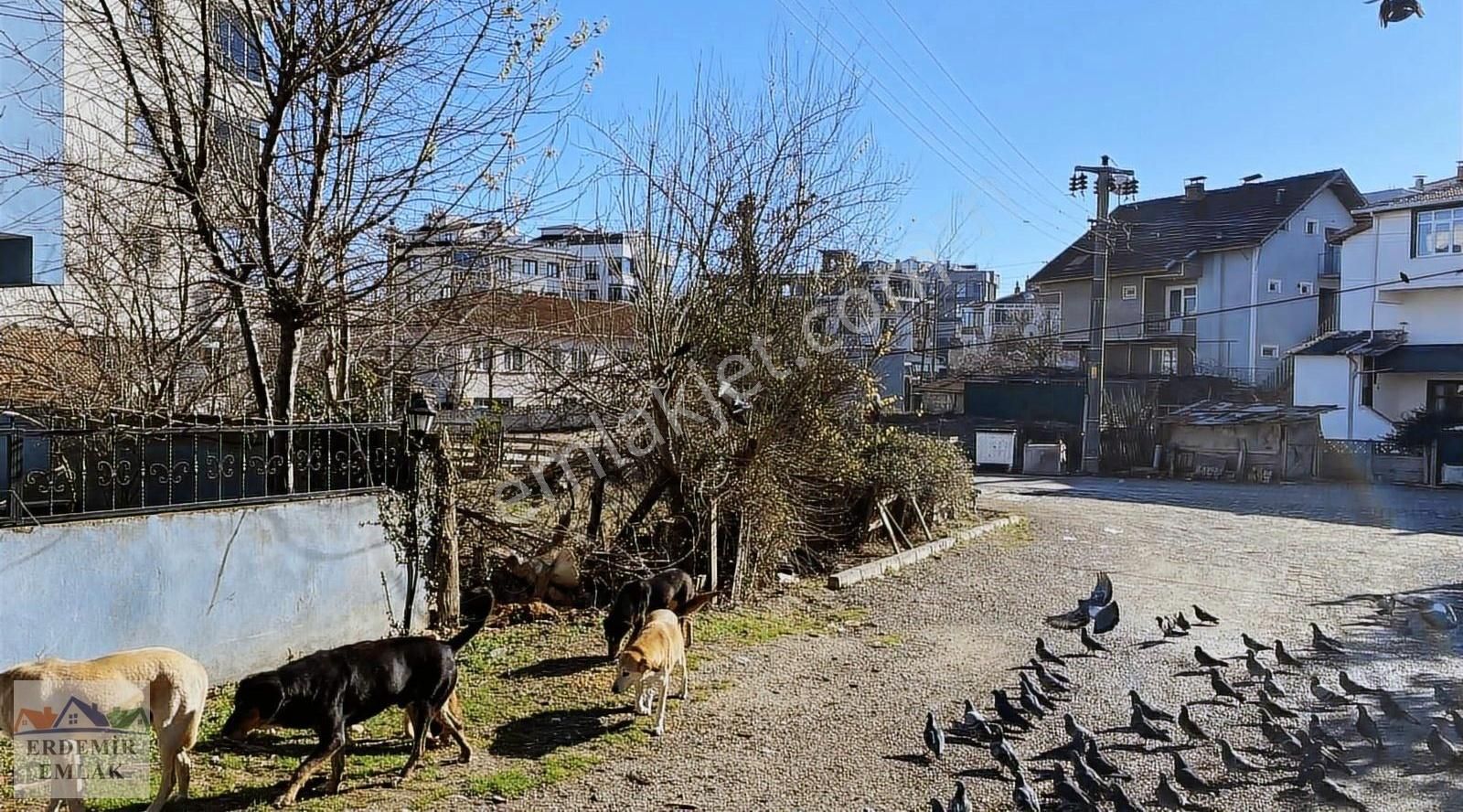 Demirköy İğneada Bld. (Yeni) Satılık Daire Erdemir Emlaktan Bahçeli Çarşı Deniz Yürüme 3 Dakika