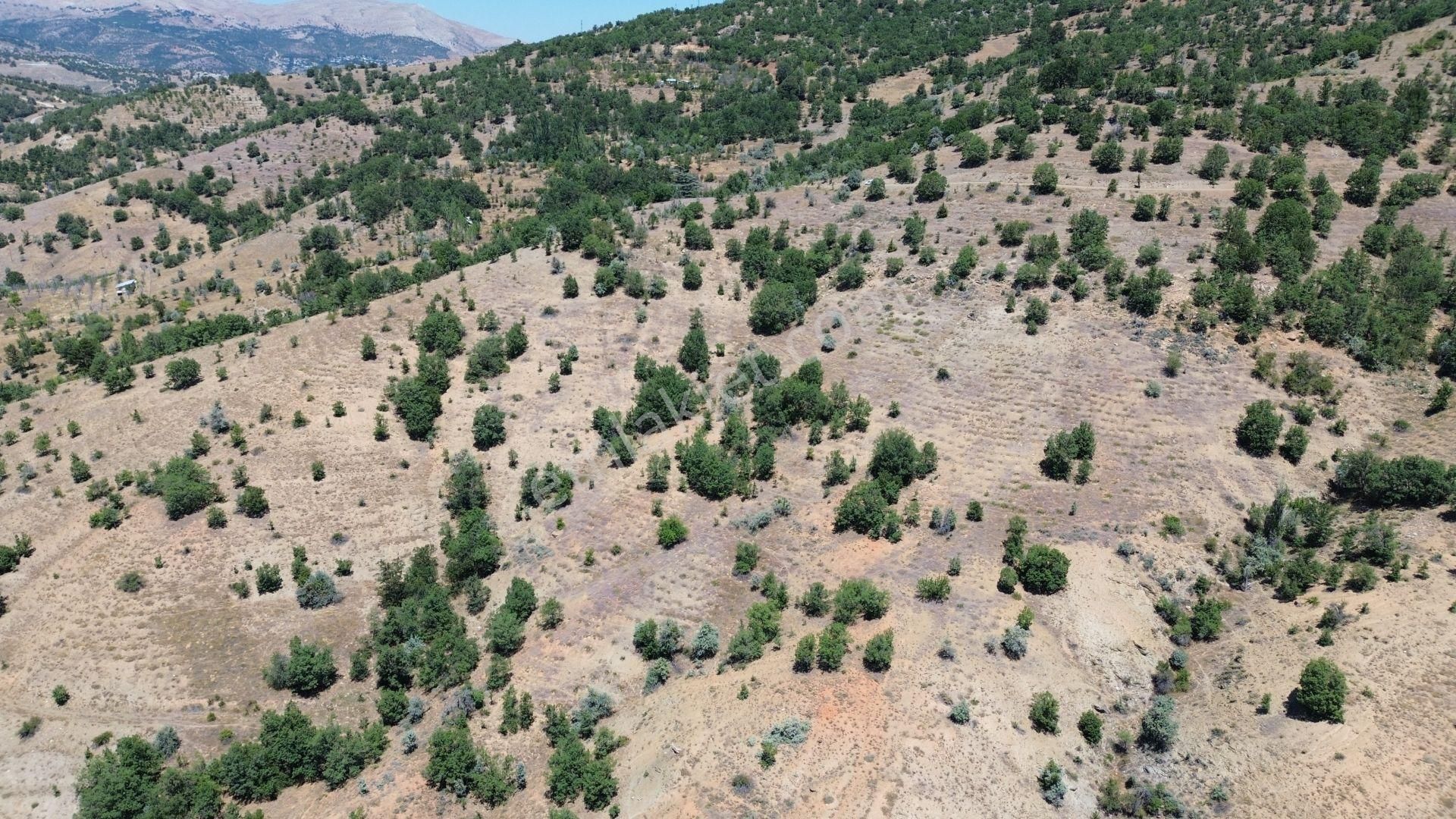 Taşkent Kongul Satılık Bağ & Bahçe Konya Taşkent Kongul'da 366 M² Müstakil Tapulu Bağ