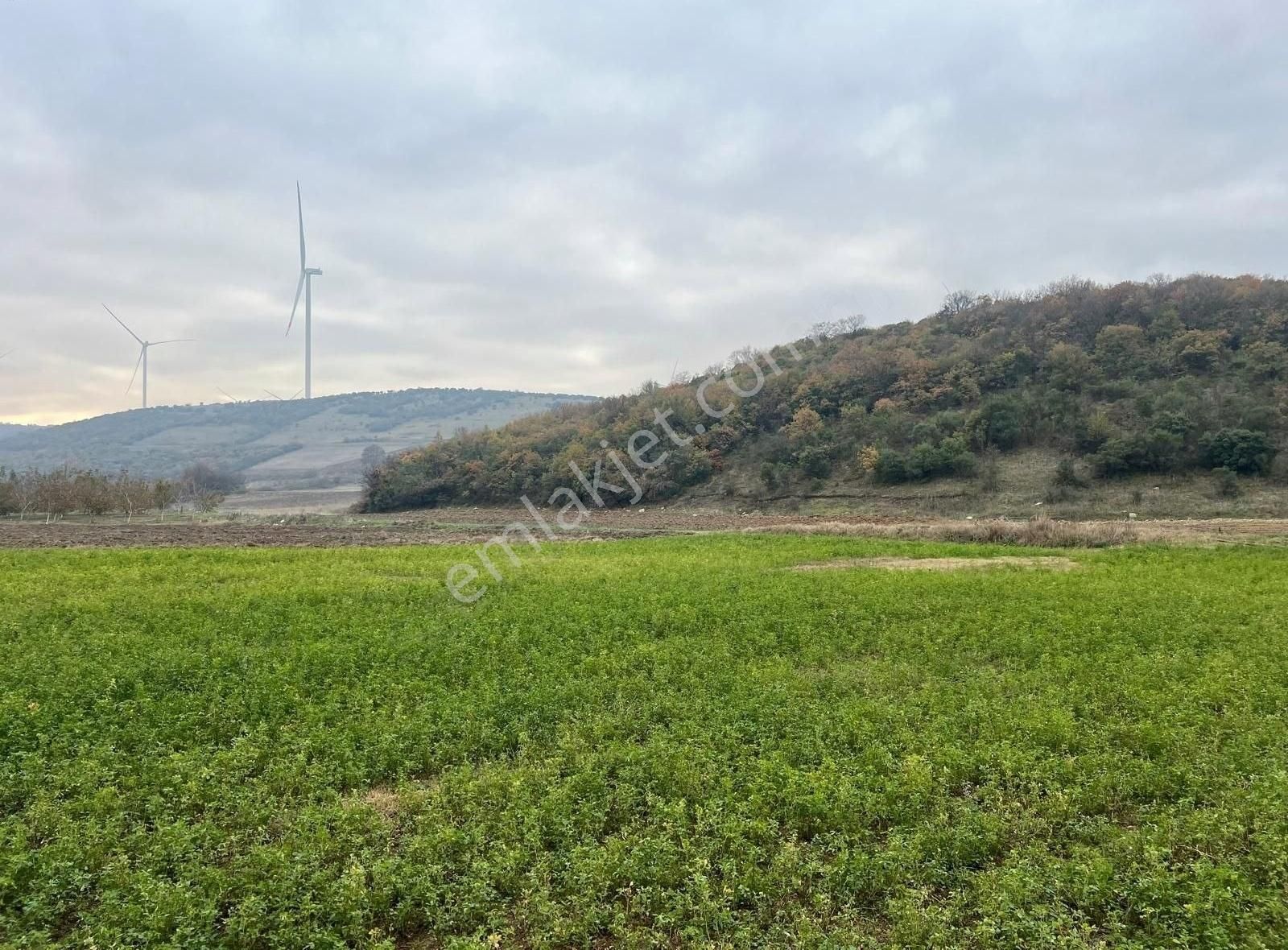 Karacabey İnkaya Satılık Tarla Bursa Karacabey İnkaya Mahallesinde Satılık Tarla