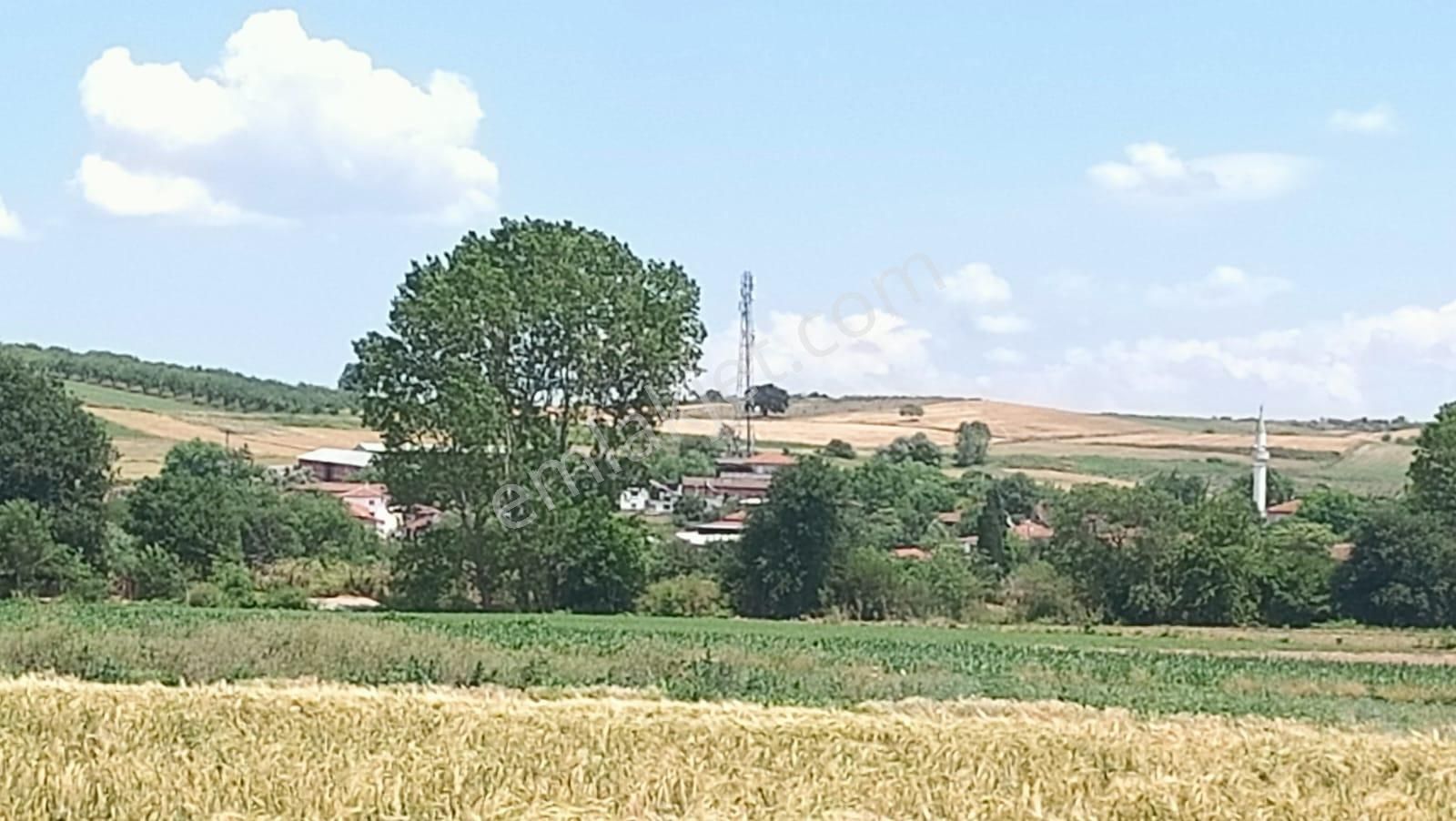 Mustafakemalpaşa Ada Mahallesi 600 M2 Hobi Bahçesi - Görsel 13