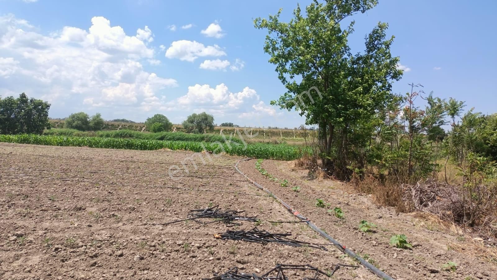 Mustafakemalpaşa Ada Mahallesi 600 M2 Hobi Bahçesi - Görsel 12